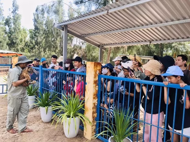 Những điểm nhấn độc đáo như FLC Zoo Safari Park Quy Nhơn tạo ra sức hút riêng, kéo dài thời gian lưu trú của khách.